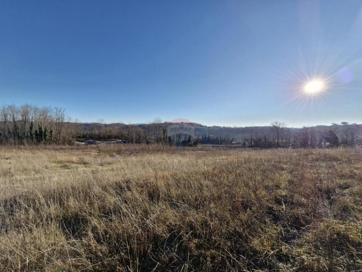Stavbno zemljišče Trviž, Pazin - Okolica, 5.600m2