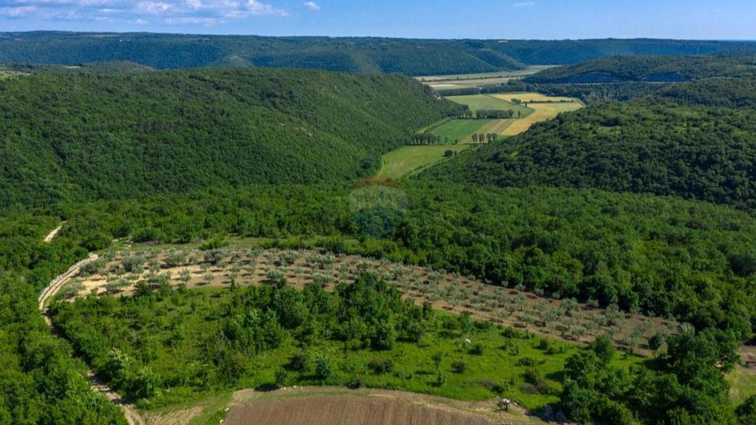 Istra, Buje, okolica - Vila s panoramskim pogledom