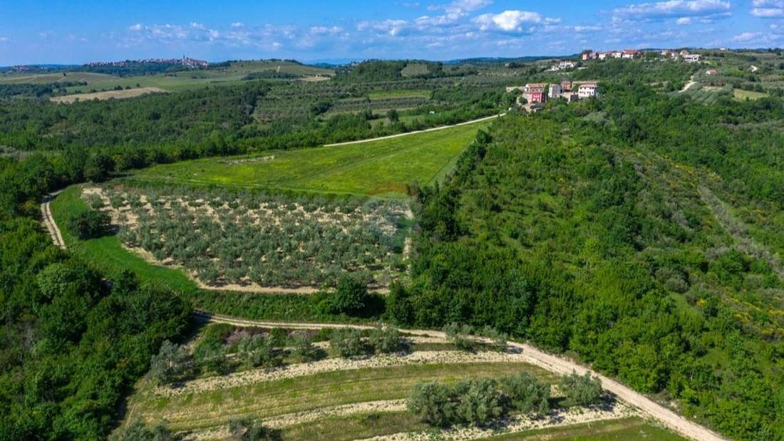 Istra, Buje, okolica - Vila s panoramskim pogledom