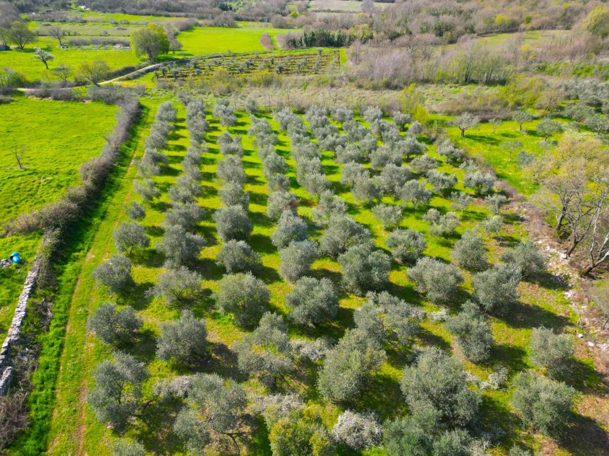 Stavbno zemljišče Sošići, Kanfanar, 4.000m2