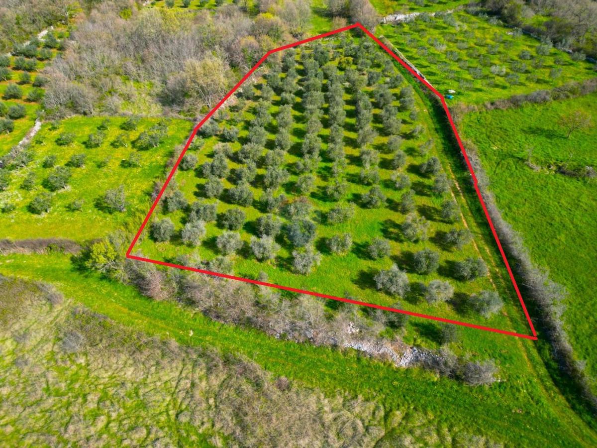Stavbno zemljišče Sošići, Kanfanar, 4.000m2