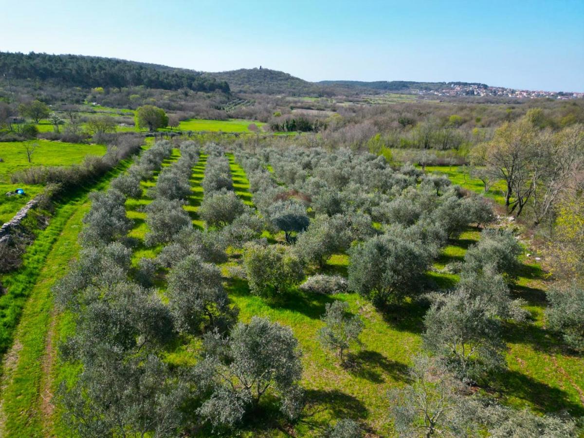 Stavbno zemljišče Sošići, Kanfanar, 4.000m2