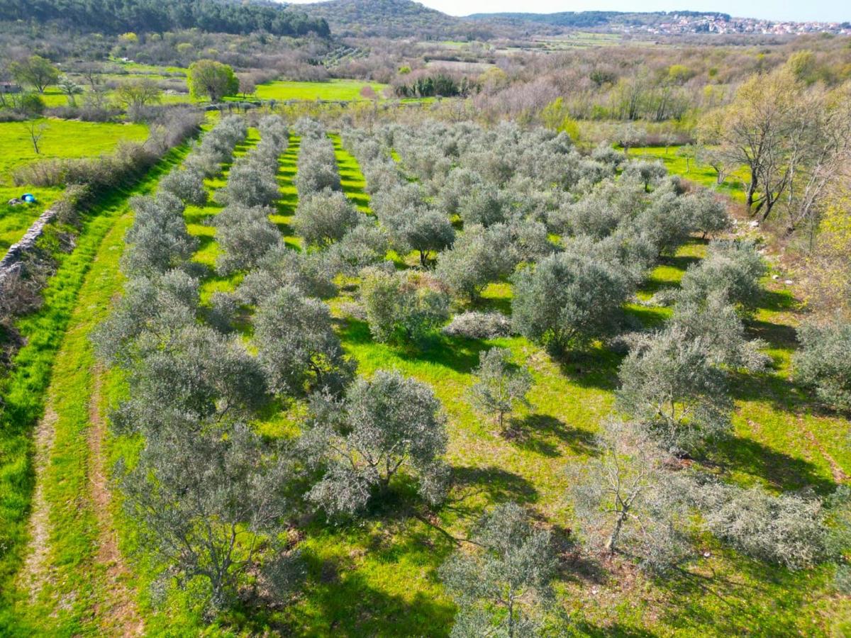 Stavbno zemljišče Sošići, Kanfanar, 4.000m2