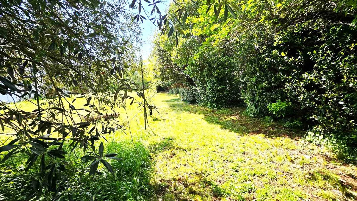Stavbno zemljišče Zambratija, Umag, 1.553m2