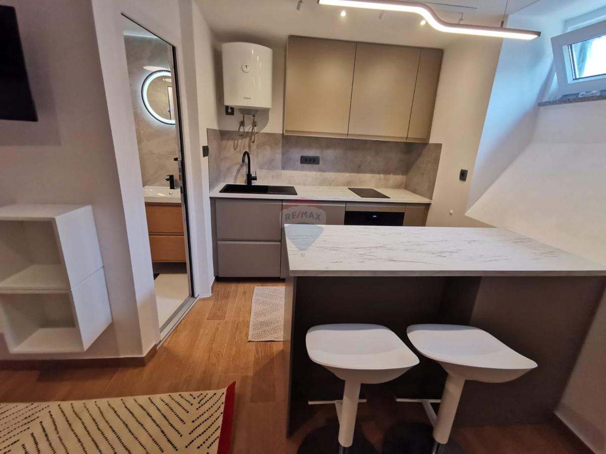 Stanovanje/Apartma Trešnjevka, Trešnjevka - Sjever, 16,80m2