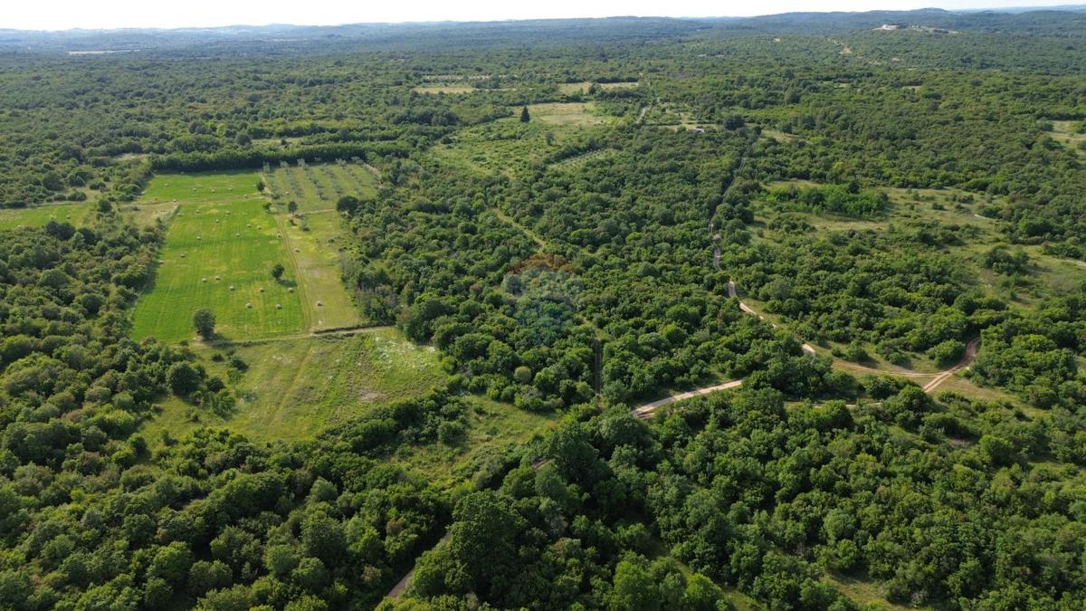 ISTRIA, BALE – Affordable Agricultural Land