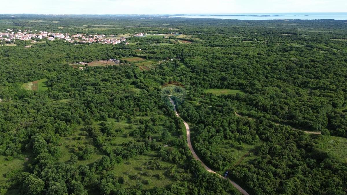 ISTRIA, BALE – Affordable Agricultural Land