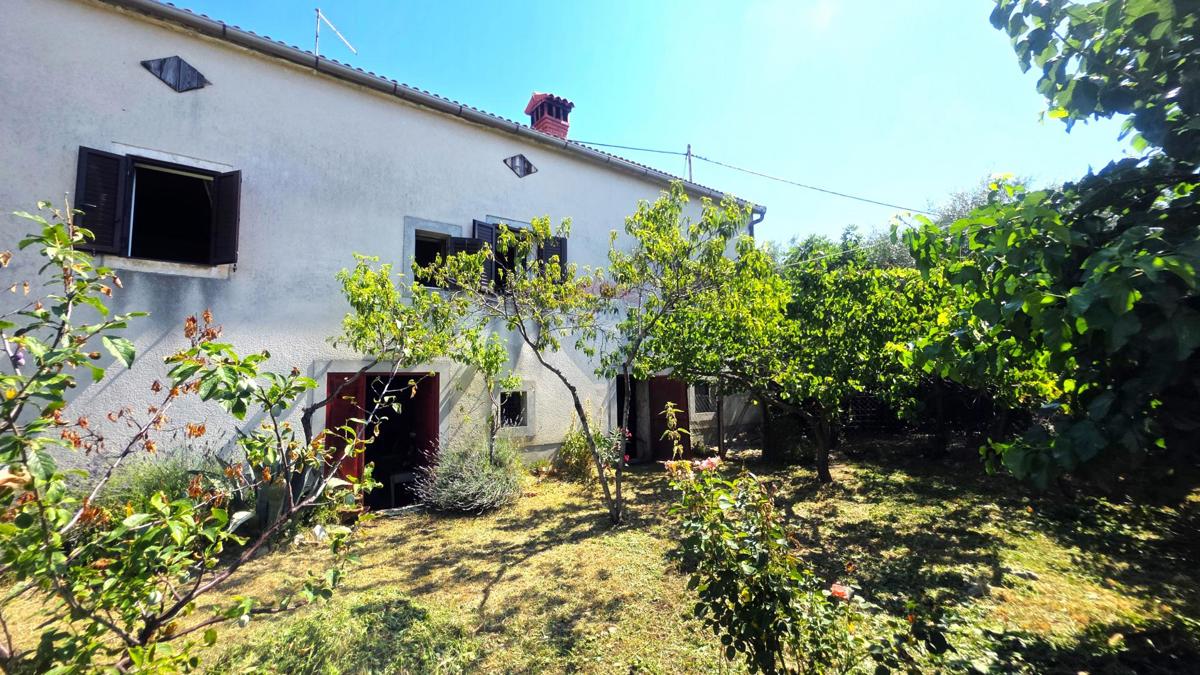 Hiša Brtonigla, 140m2