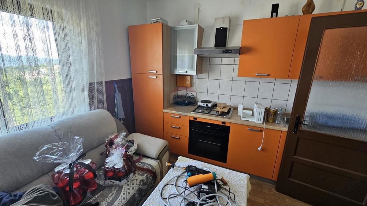 Hiša Divjake, Skrad, 260m2