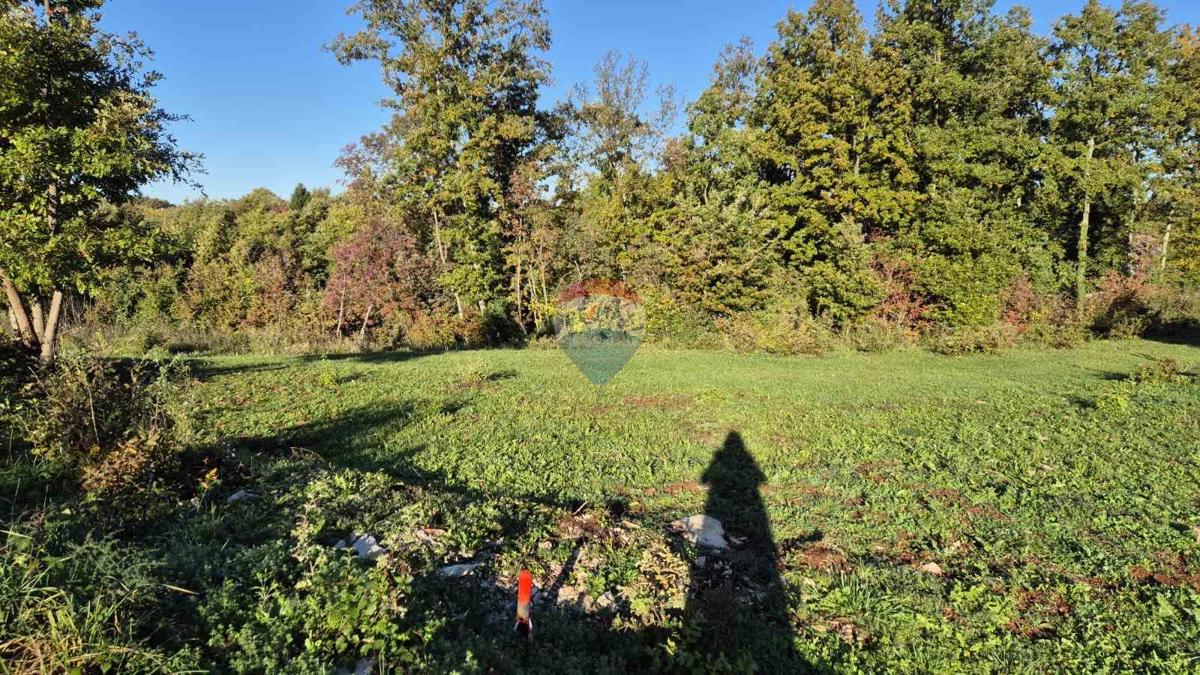 Stavbno zemljišče Sveti Petar u Šumi, Sveti Petar U Šumi, 730m2