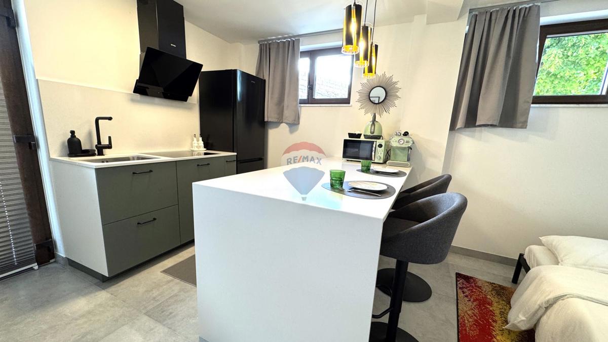 Stanovanje/Apartma Trviž, Pazin - Okolica, 85m2