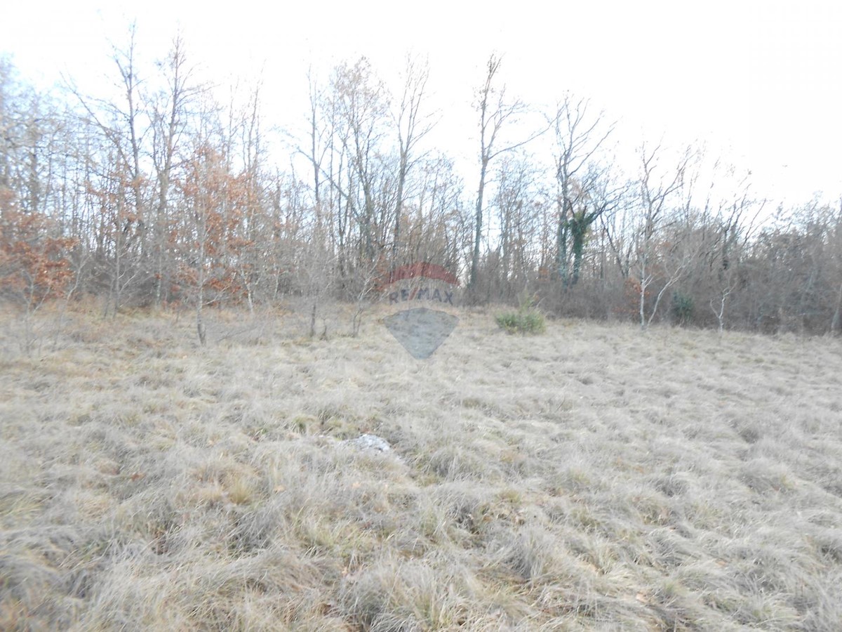 Stavbno zemljišče Lindar, Pazin - Okolica, 34.477m2