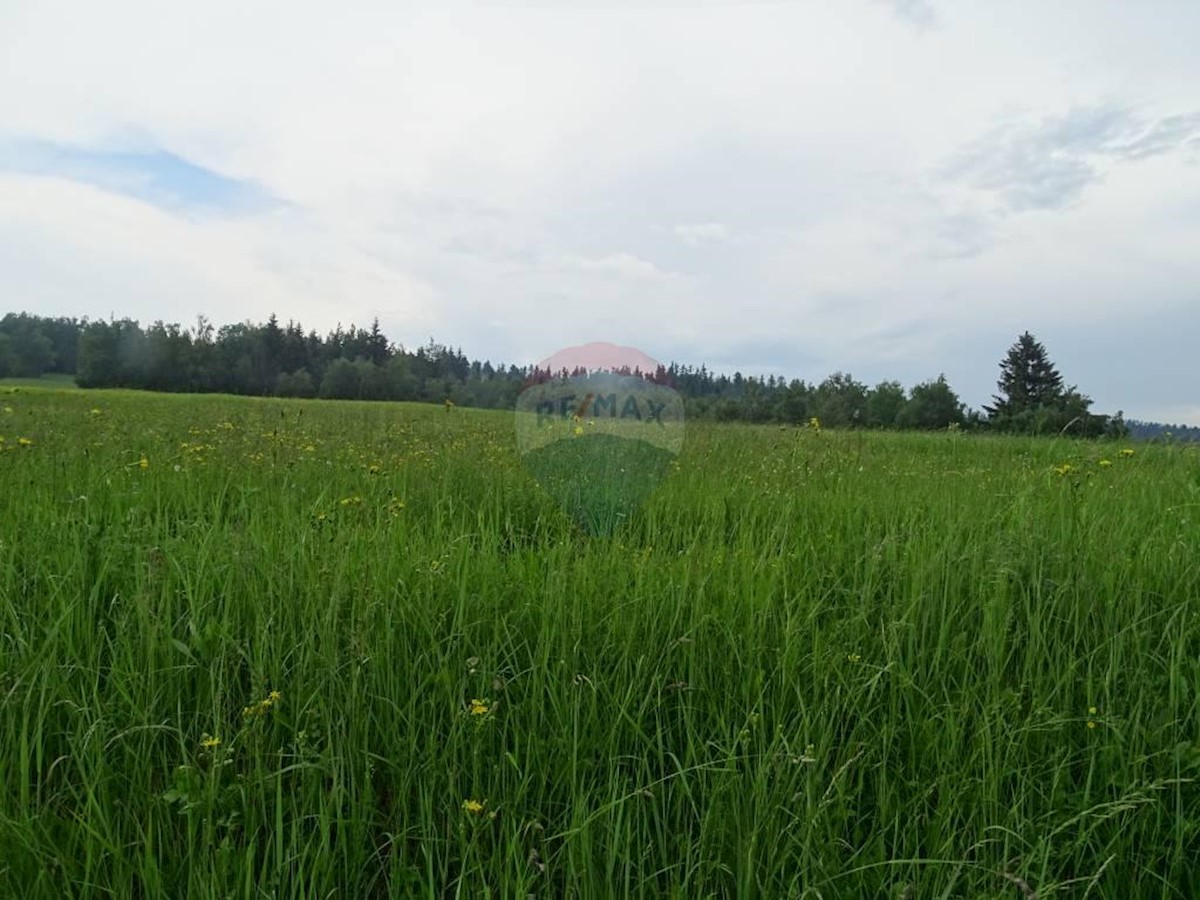 Stavbno zemljišče Kupjak, Ravna Gora, 14.540m2