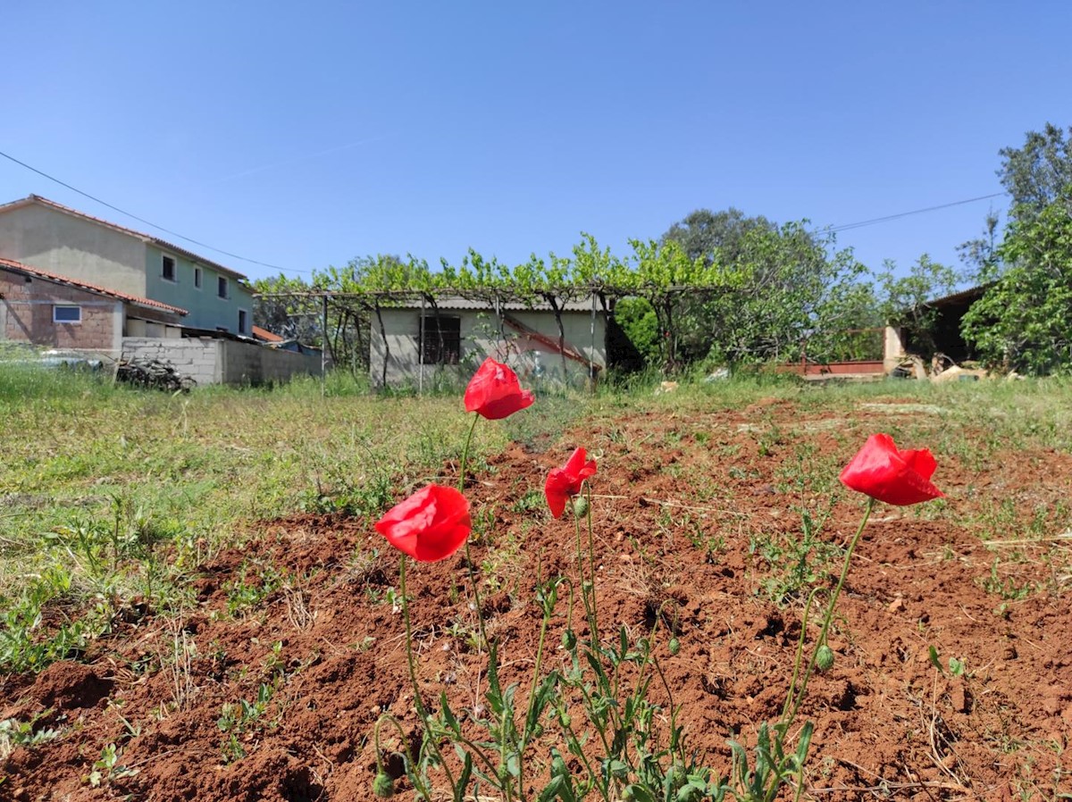 Hiša Fažana, 66m2