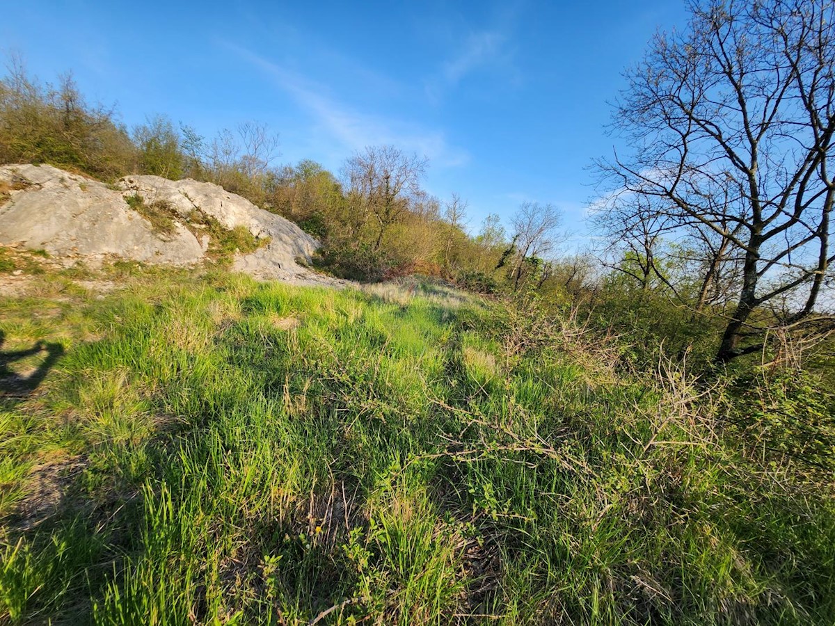 Cernik, Čavle, 2.214m2