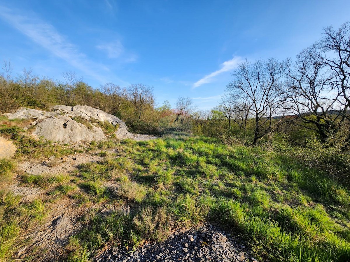 Cernik, Čavle, 2.214m2