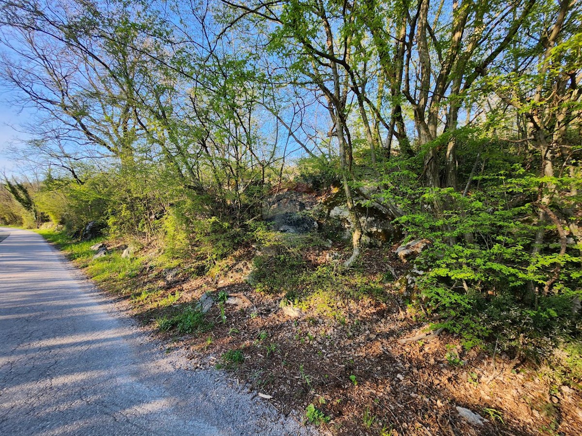 Cernik, Čavle, 2.214m2