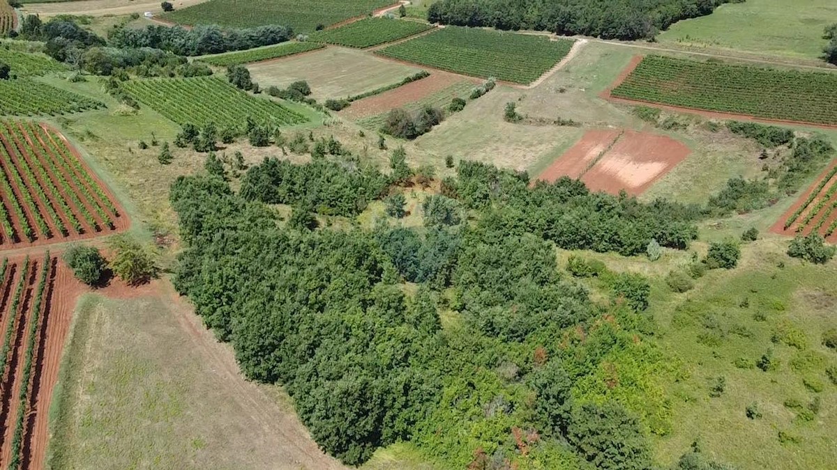 Stavbno zemljišče Vižinada, 10.286m2