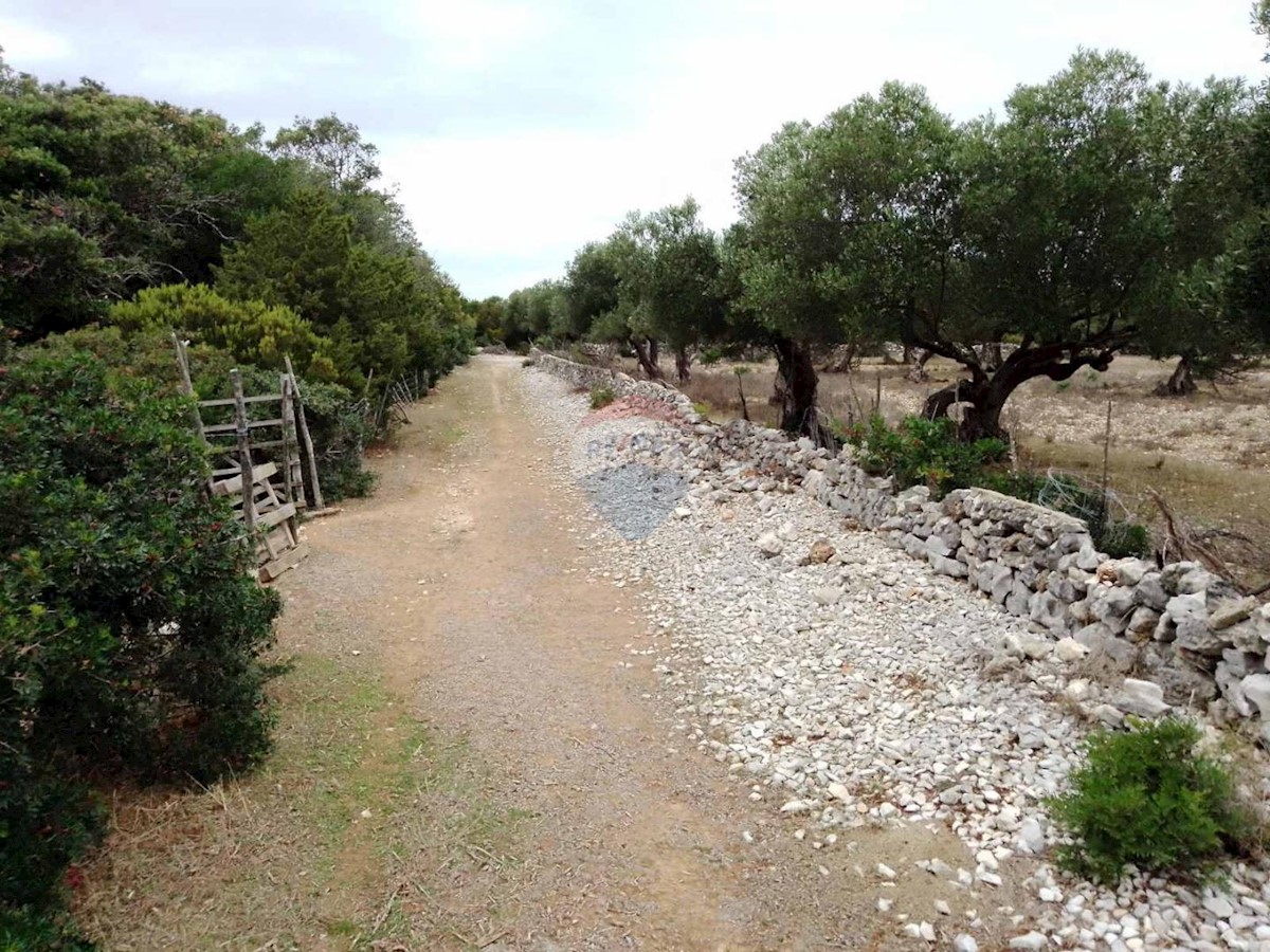 Stavbno zemljišče Mali Lošinj, 10.500m2