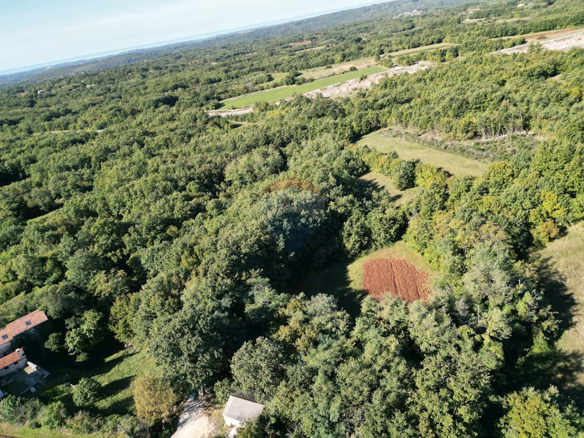 Stavbno zemljišče Orbanići, Žminj, 13.500m2