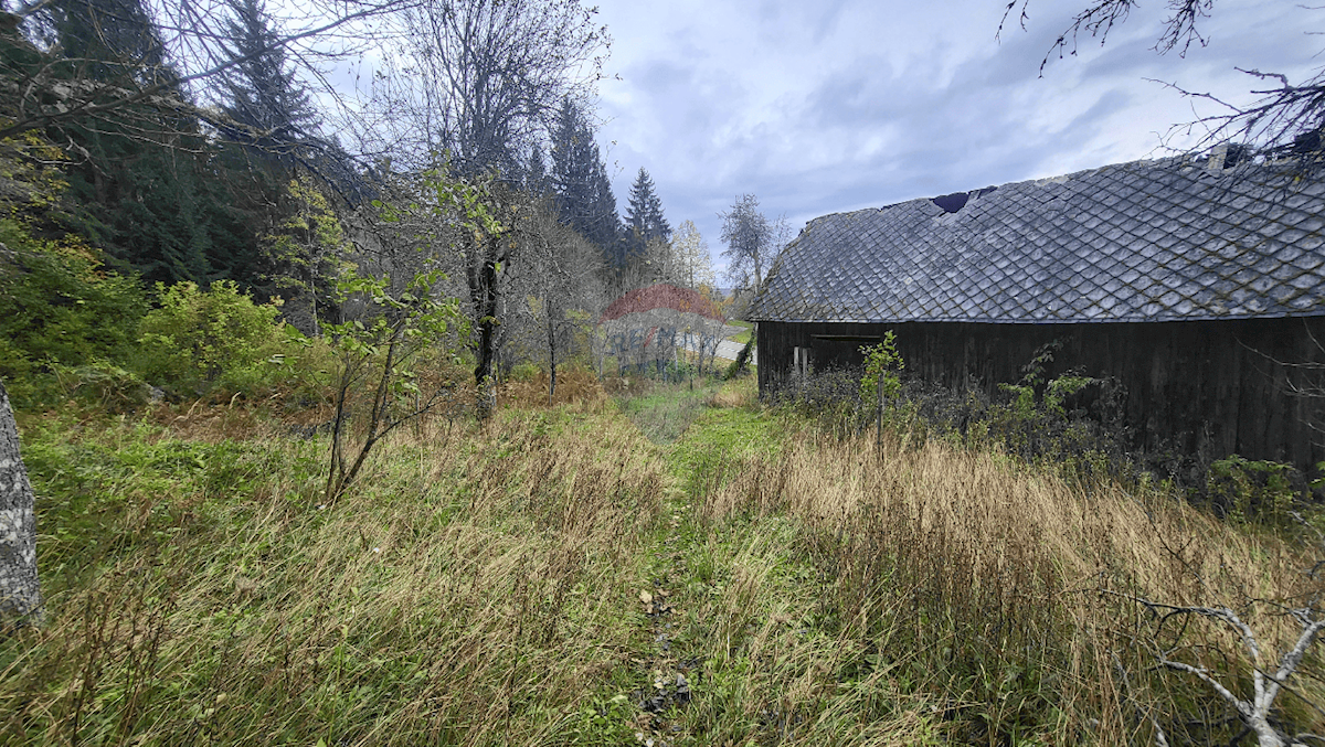 Stavbno zemljišče Divjake, Skrad, 3.545m2