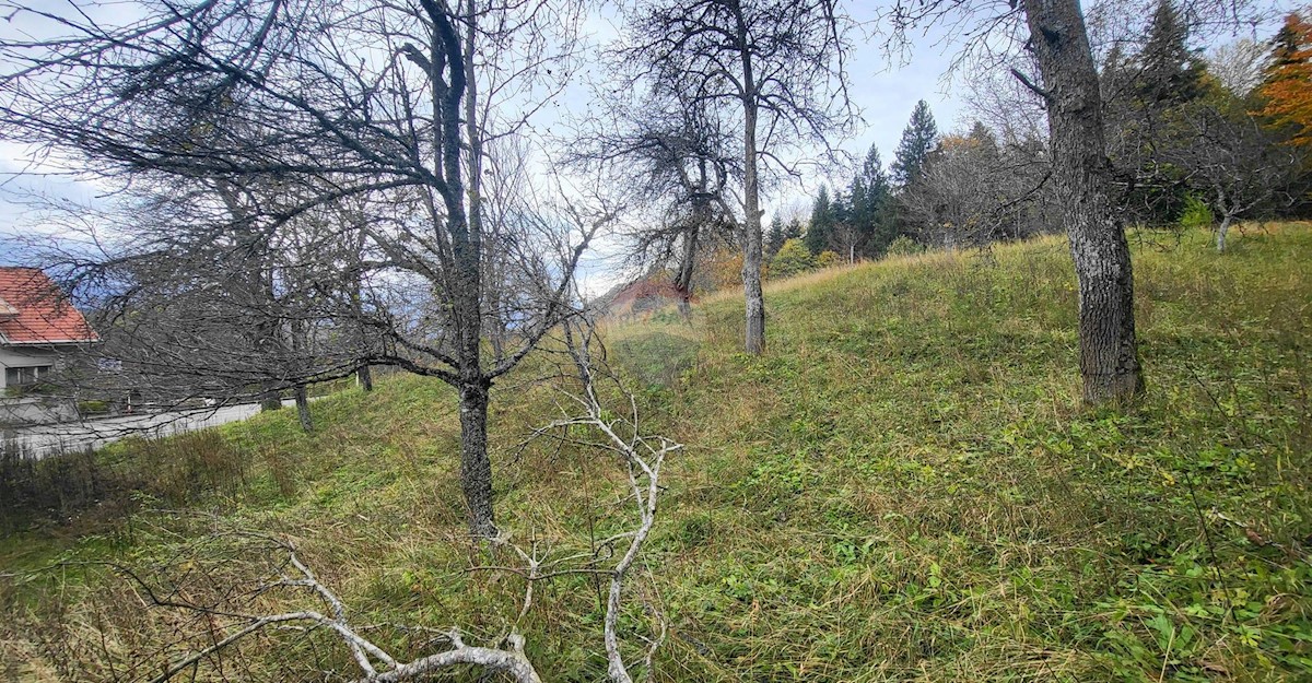 Stavbno zemljišče Divjake, Skrad, 3.545m2