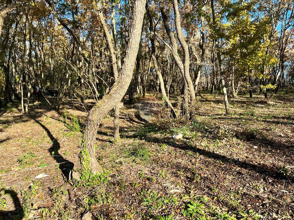 Stavbno zemljišče Grožnjan, 17,84m2
