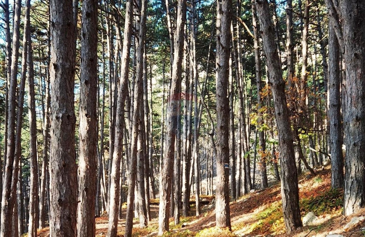 Stavbno zemljišče Omišalj, 4.420m2