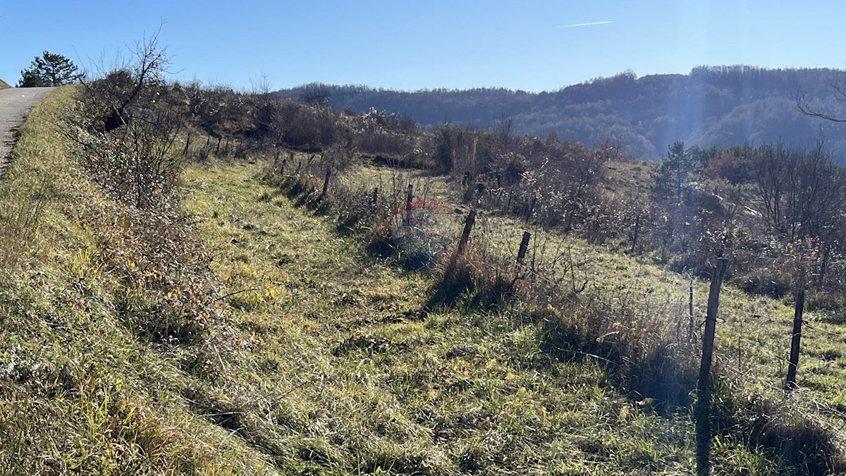 Stavbno zemljišče Zamask, Pazin - Okolica, 3.059m2