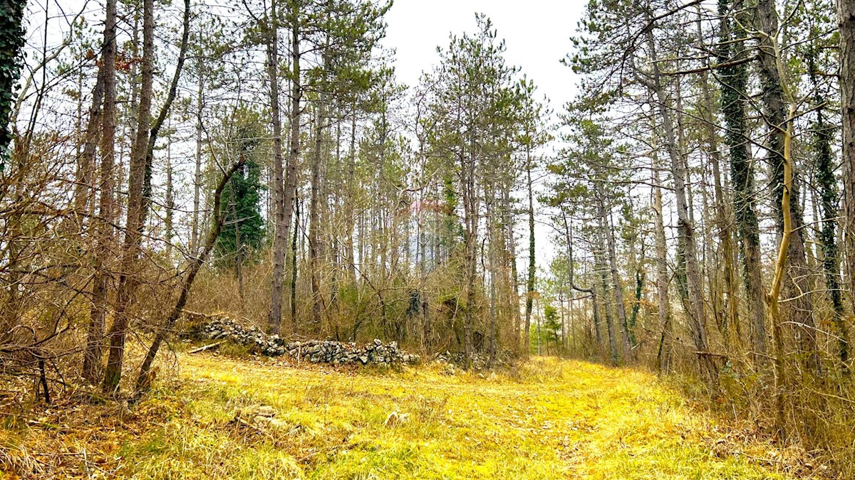 Stavbno zemljišče Završje, Grožnjan, 4.239m2