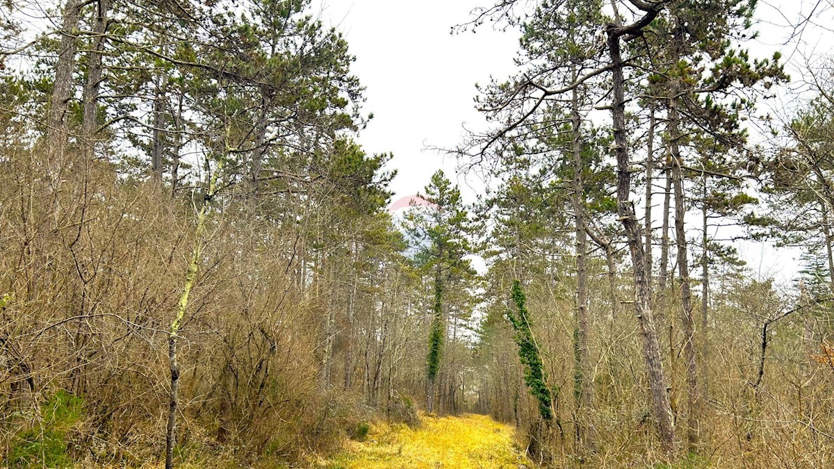 Stavbno zemljišče Završje, Grožnjan, 4.239m2