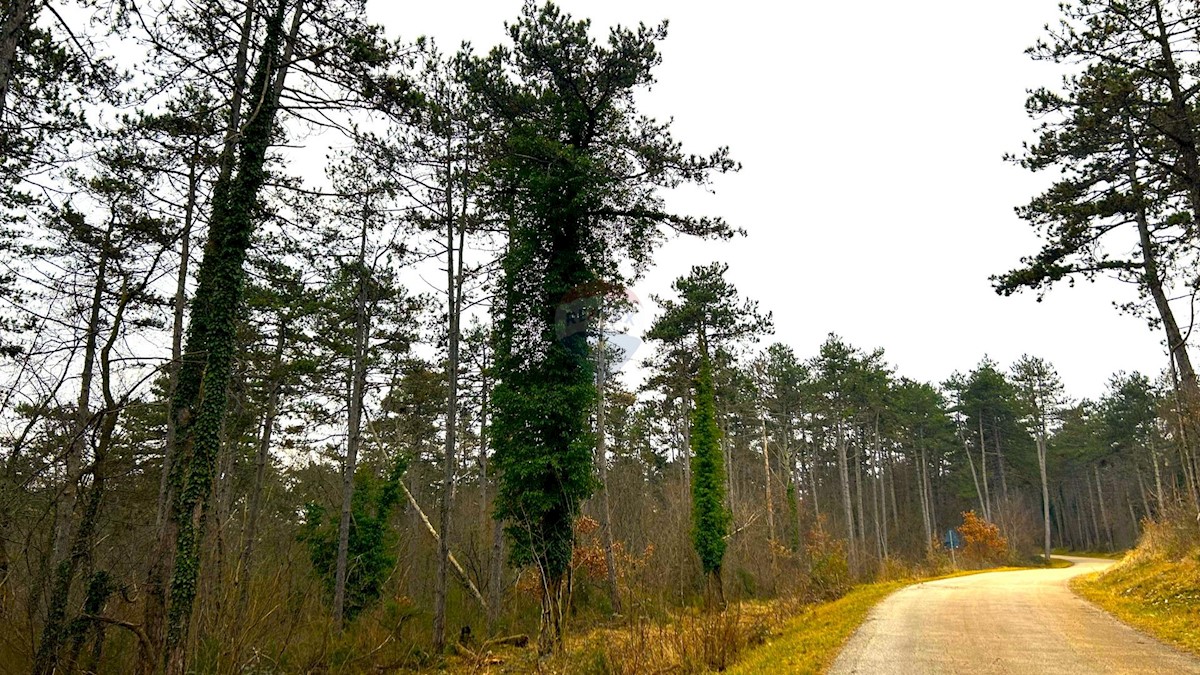 Stavbno zemljišče Završje, Grožnjan, 4.239m2