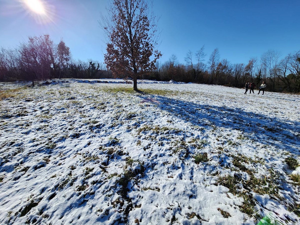 Stavbno zemljišče Karojba, 1.256m2