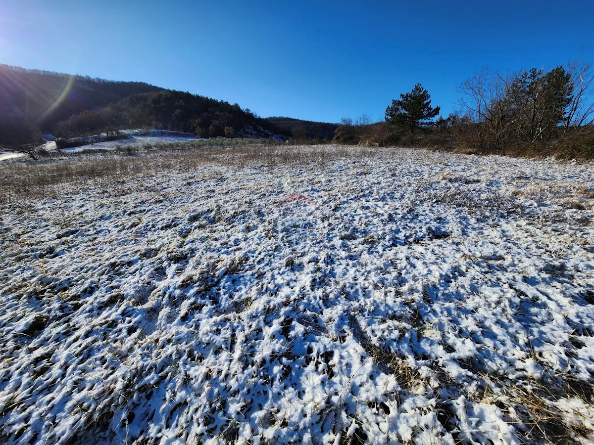 Stavbno zemljišče Karojba, 1.256m2