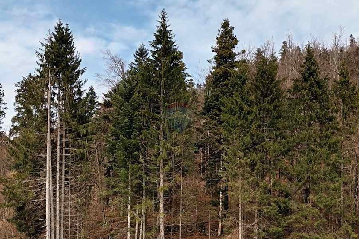 Stavbno zemljišče Fužine, 825m2