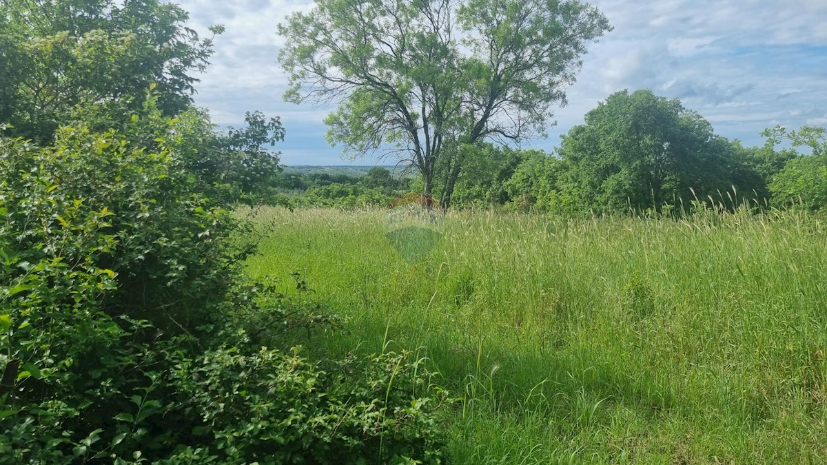 Stavbno zemljišče Krnica, Marčana, 9.156m2