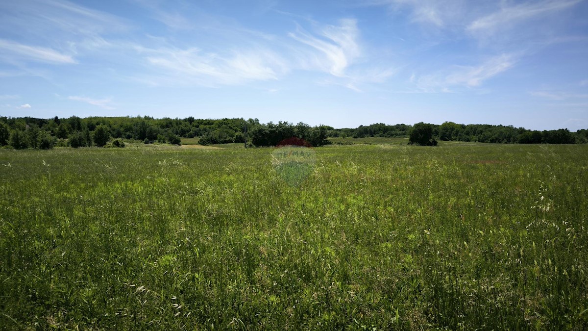 Stavbno zemljišče Kaštelir, Kaštelir-Labinci, 32.600m2