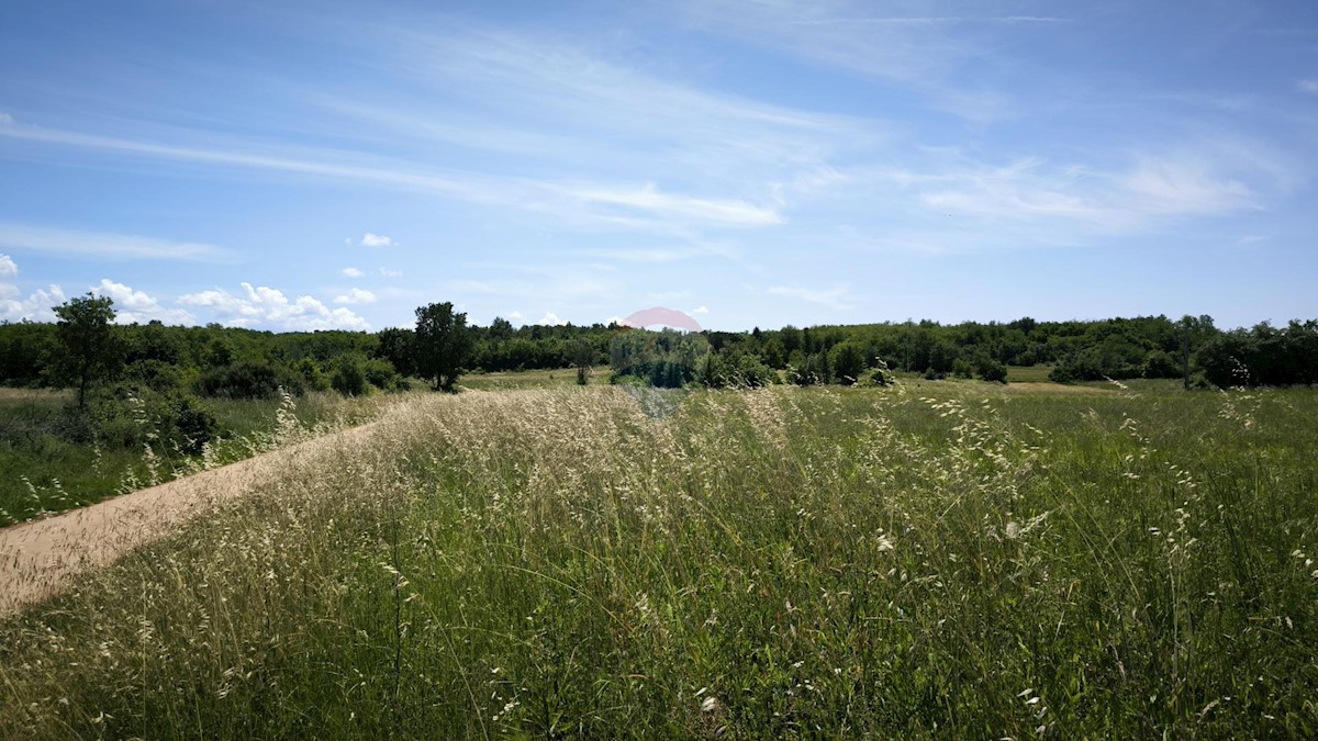 Stavbno zemljišče Kaštelir, Kaštelir-Labinci, 32.600m2