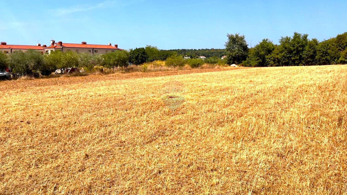 Stavbno zemljišče Lovrečica, Umag, 3.537m2