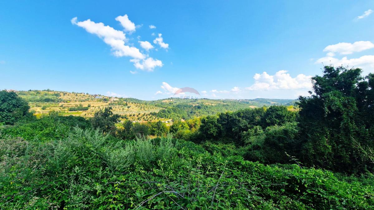 Stavbno zemljišče Momjan, Buje, 592m2