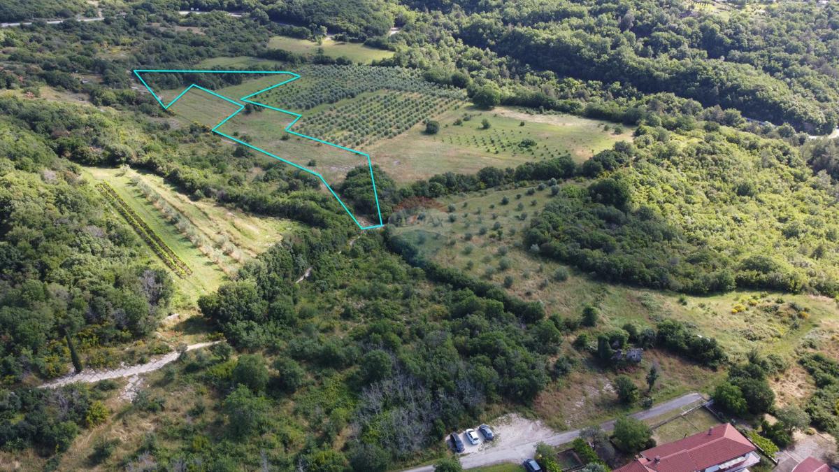 ISTRIA, LABIN - Agricultural land in a fantastic location  