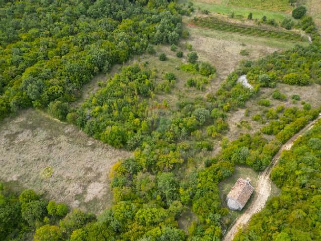 Stavbno zemljišče Šorići, Kanfanar, 4.140m2