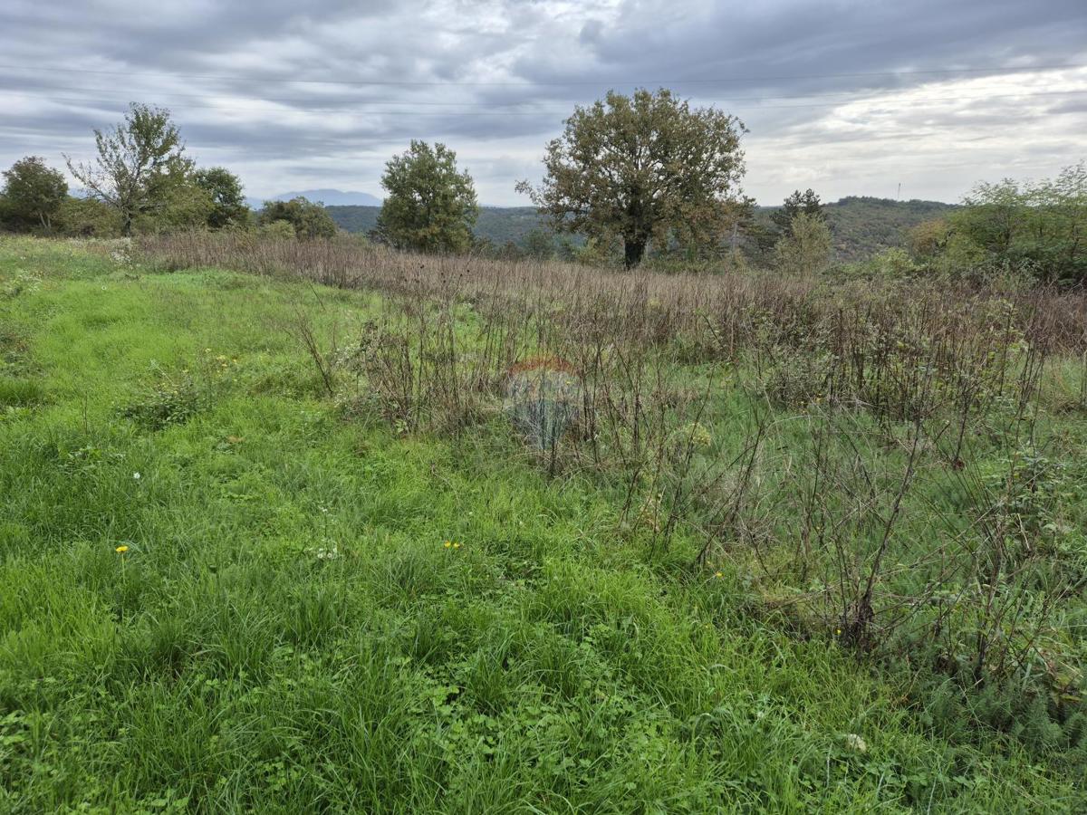 Stavbno zemljišče Tinjan, 800m2