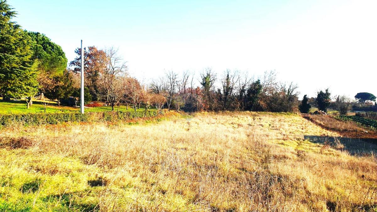 Stavbno zemljišče Tadini, Kaštelir-Labinci, 1.000m2