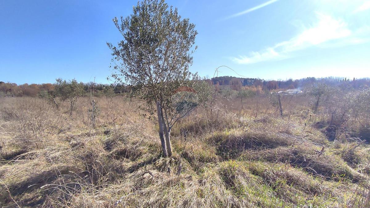 Stavbno zemljišče Baderna, Poreč, 14,18m2