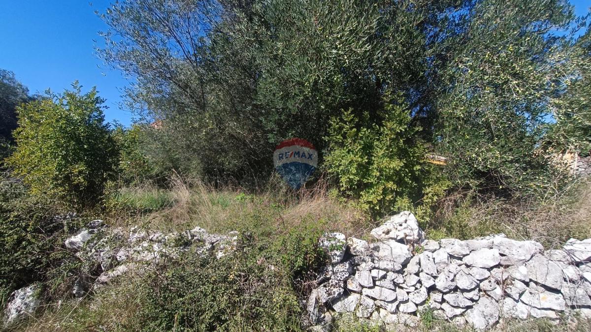 Stavbno zemljišče Krunčići, Sveti Lovreč, 240m2