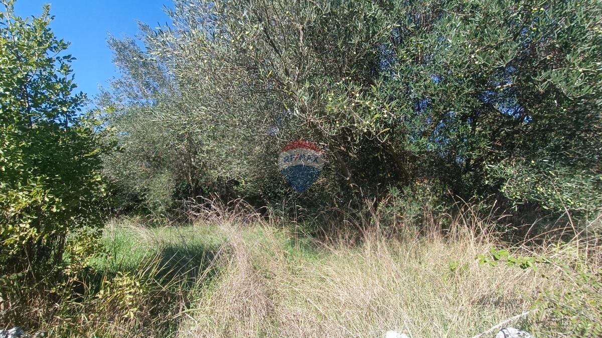 Stavbno zemljišče Krunčići, Sveti Lovreč, 240m2