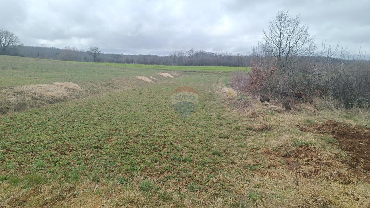 Stavbno zemljišče Batlug, Gračišće, 655m2