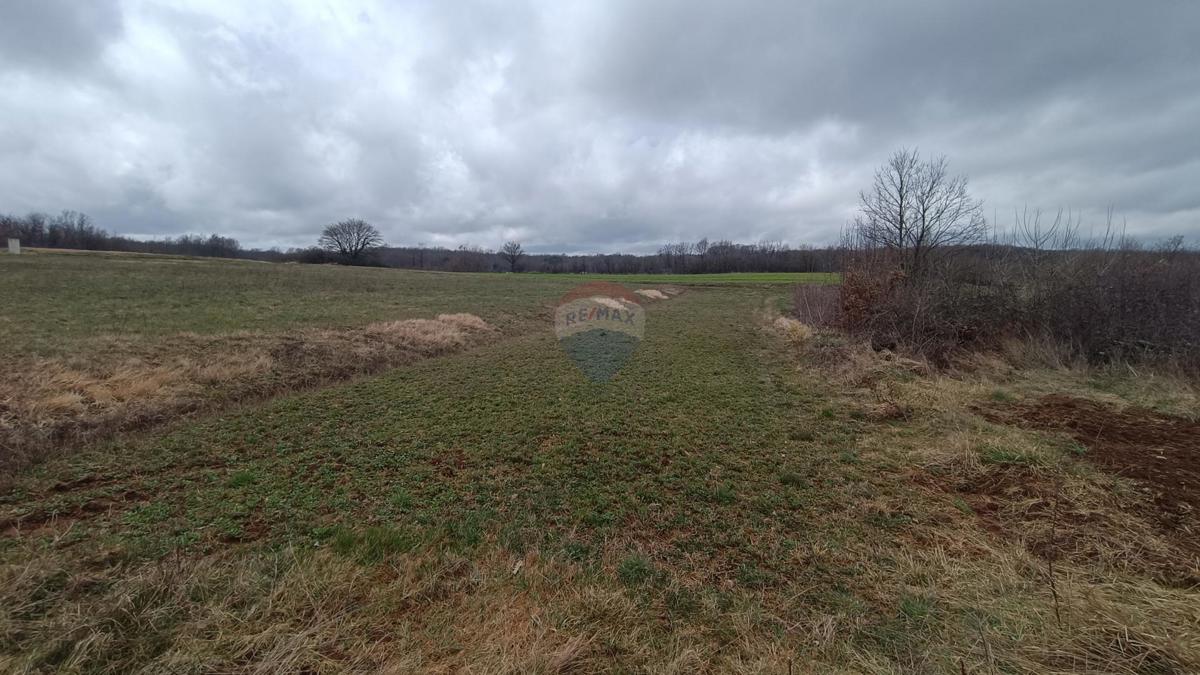 Stavbno zemljišče Batlug, Gračišće, 655m2