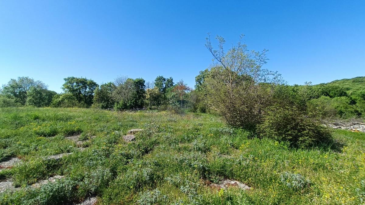 Stavbno zemljišče Bale, 1.235m2